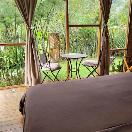 Villa Exclusivo Cocora Con Jacuzzi Salento Quindio Exterior foto