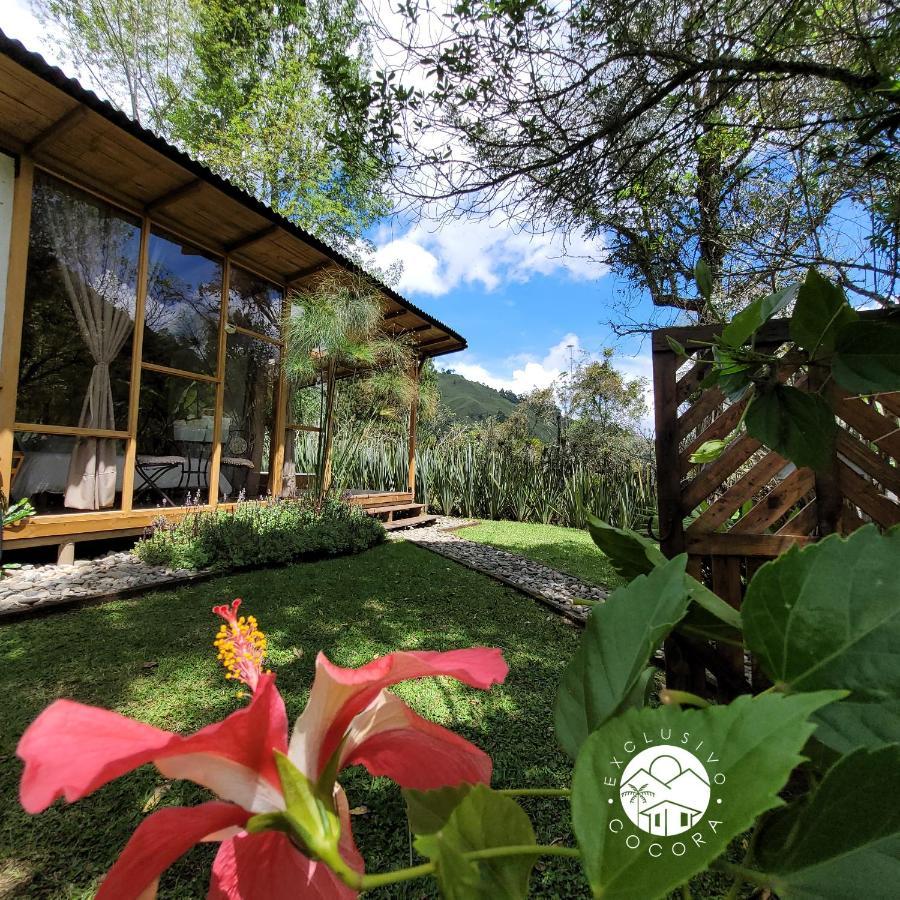 Villa Exclusivo Cocora Con Jacuzzi Salento Quindio Exterior foto
