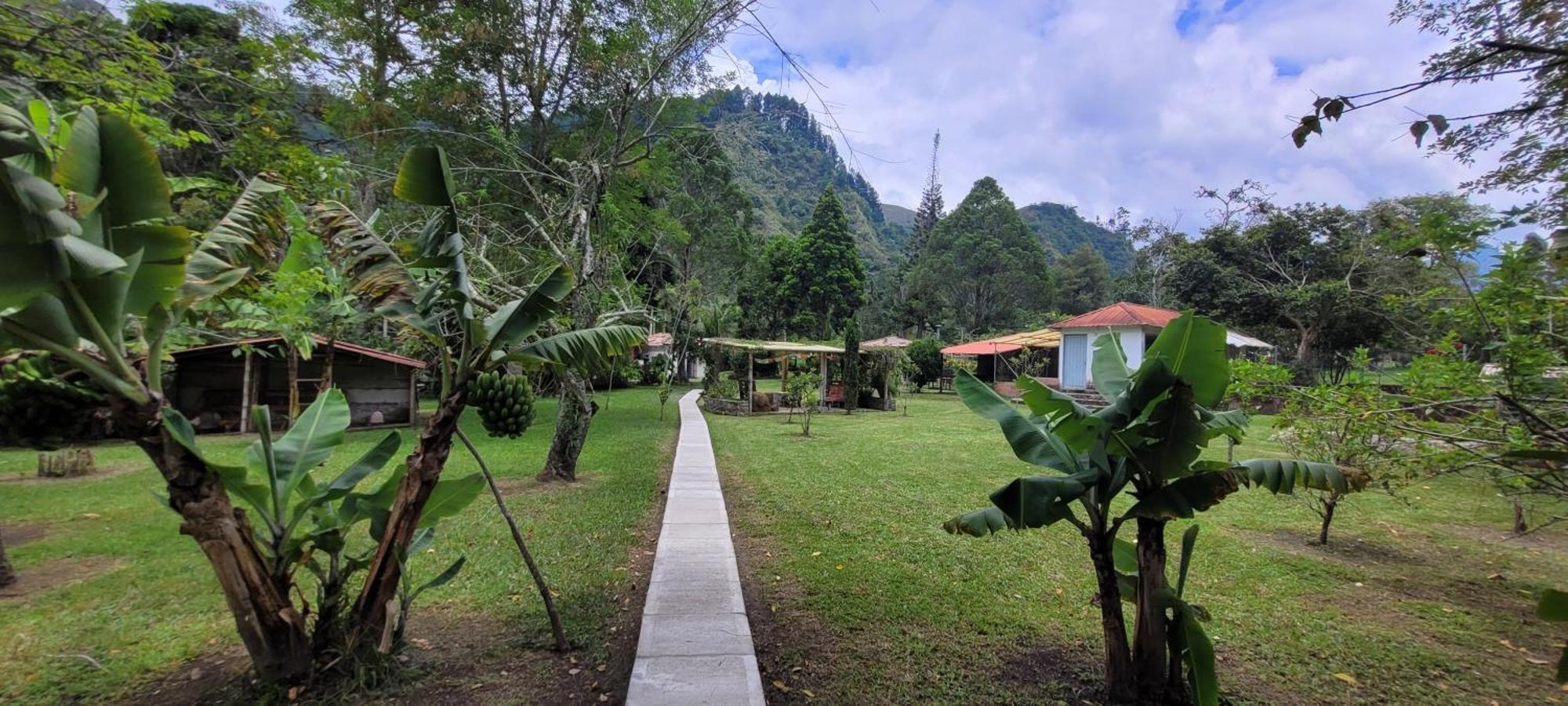 Villa Exclusivo Cocora Con Jacuzzi Salento Quindio Exterior foto