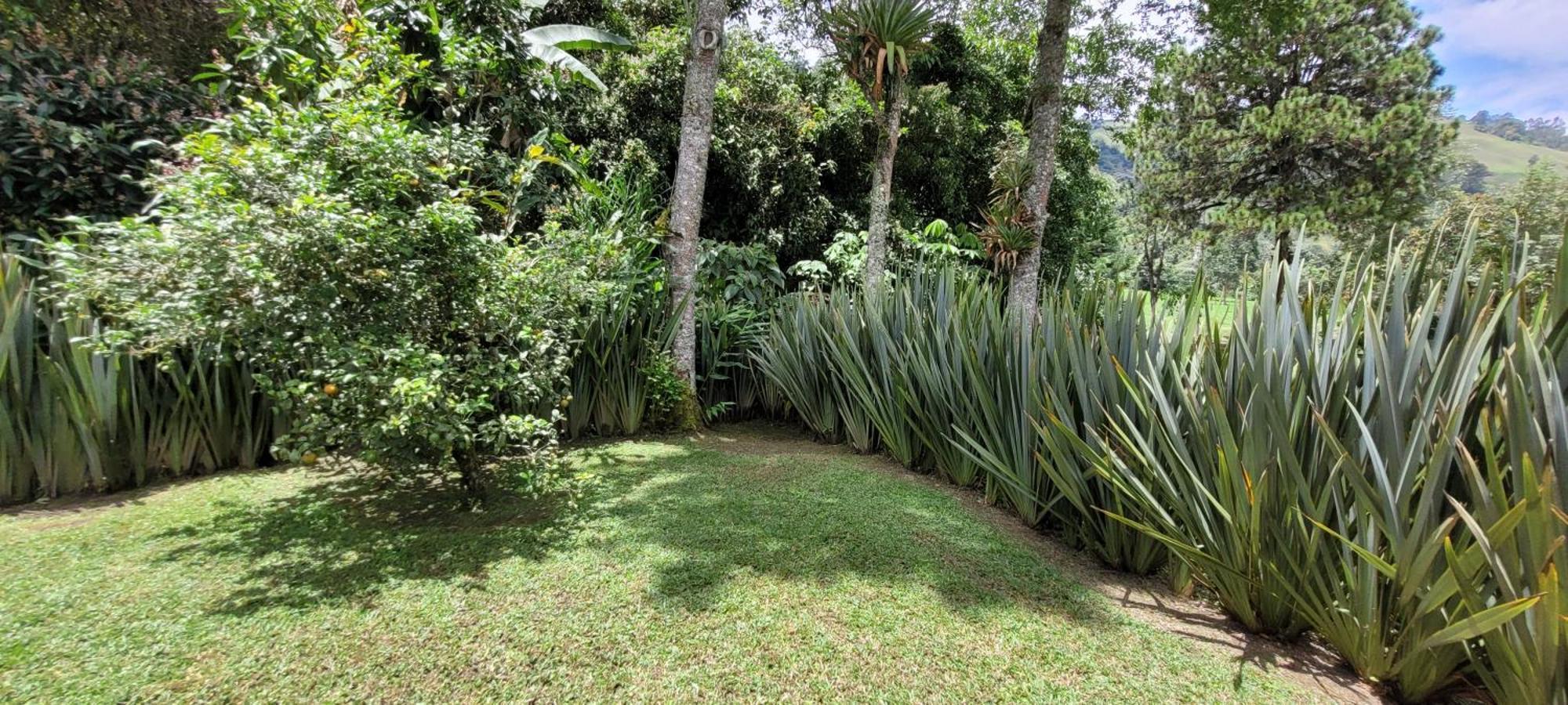 Villa Exclusivo Cocora Con Jacuzzi Salento Quindio Exterior foto