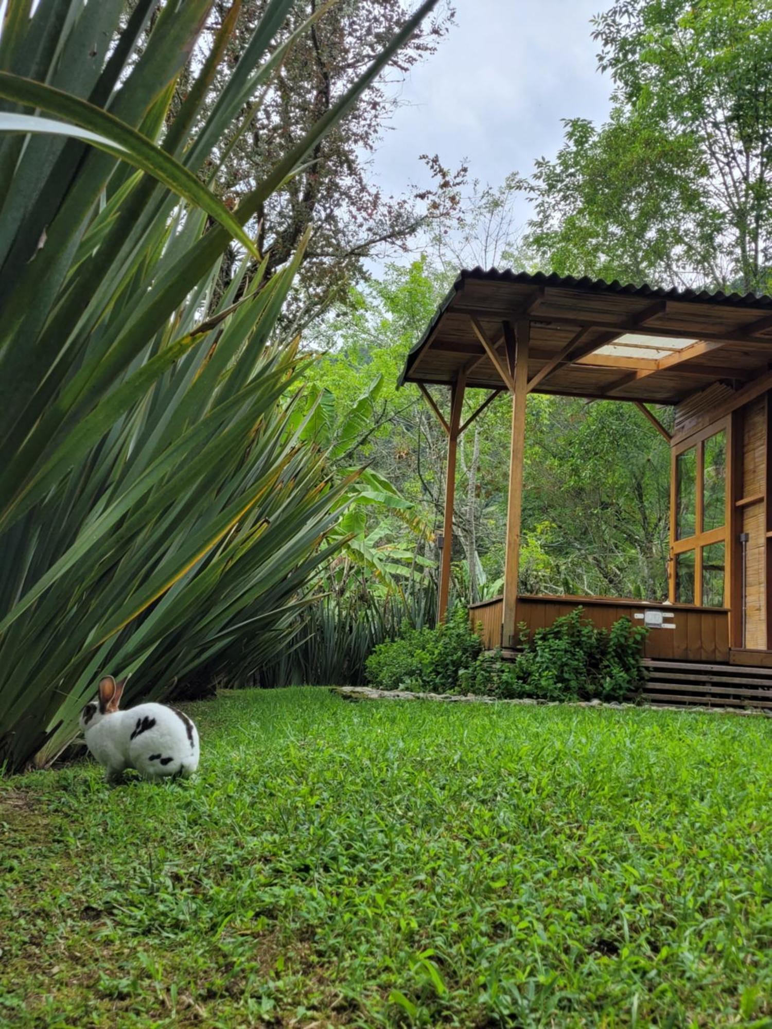 Villa Exclusivo Cocora Con Jacuzzi Salento Quindio Exterior foto